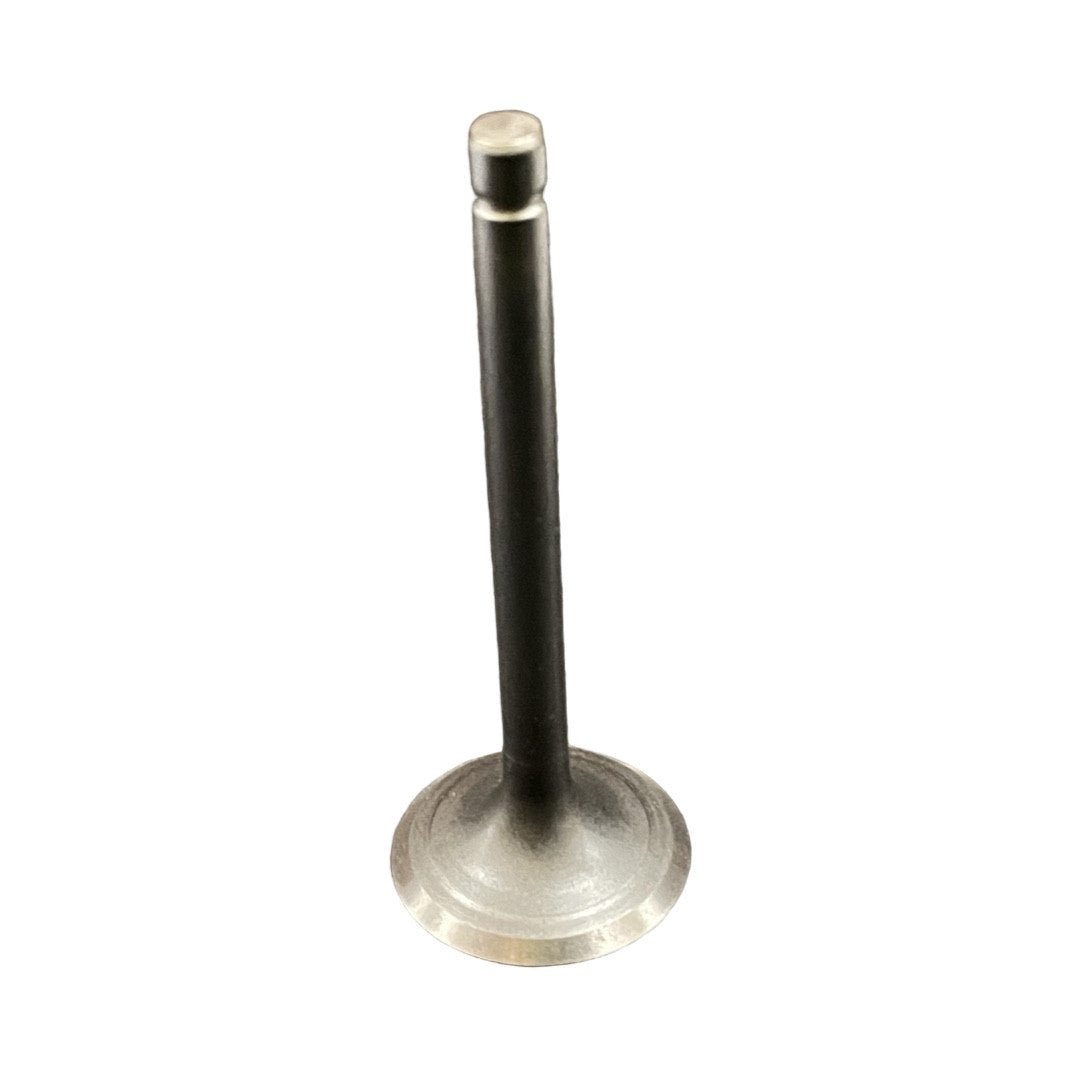 1019124-Genuine Replacement Valve,Exhaust