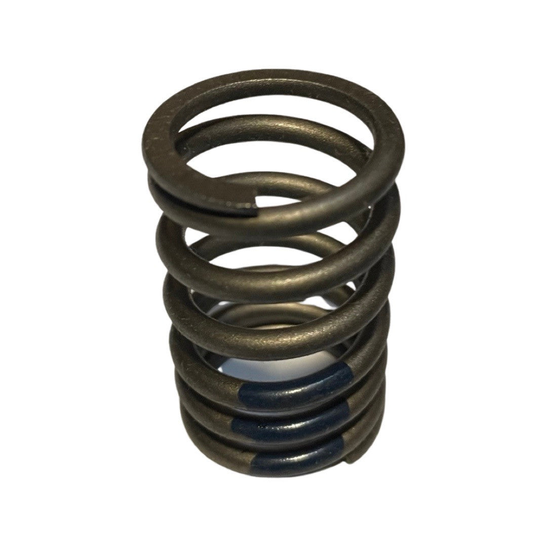 Valve Spring