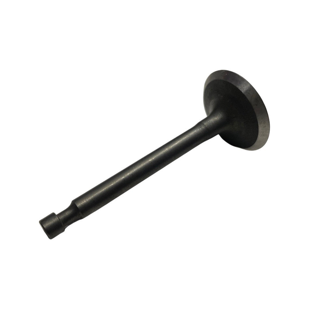 VALVE,IN for P3500PWA-E20
