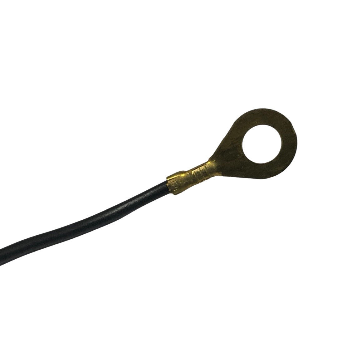 1244123-Genuine Replacement Flameout Switch