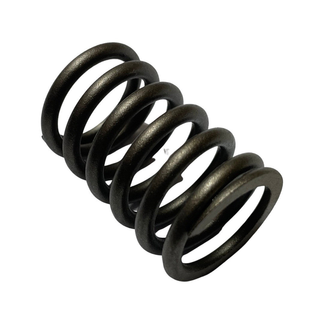 1275120-Genuine Replacement D500 Valve Spring