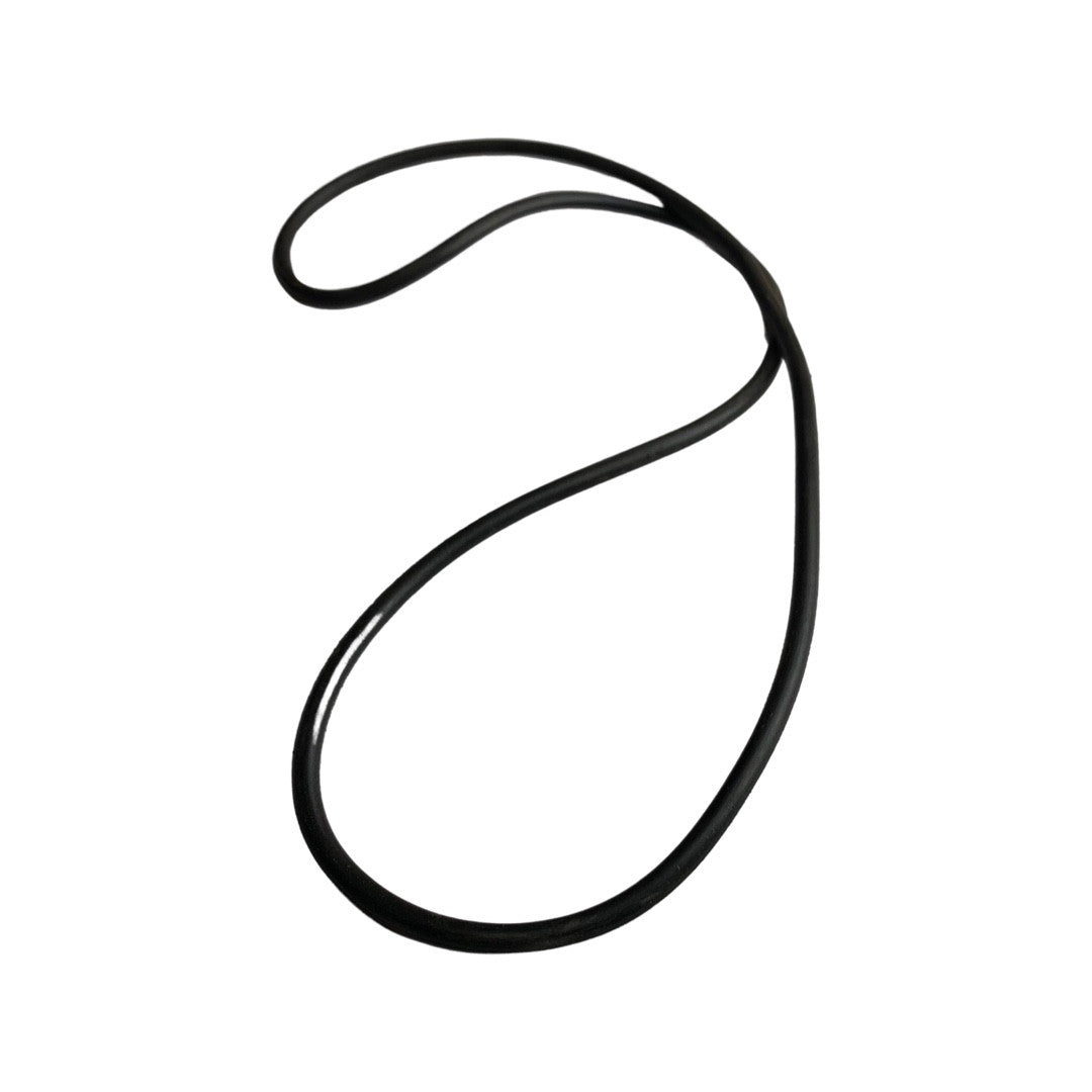 1310153 - Genuine Replacement Pump Body Seal Ring