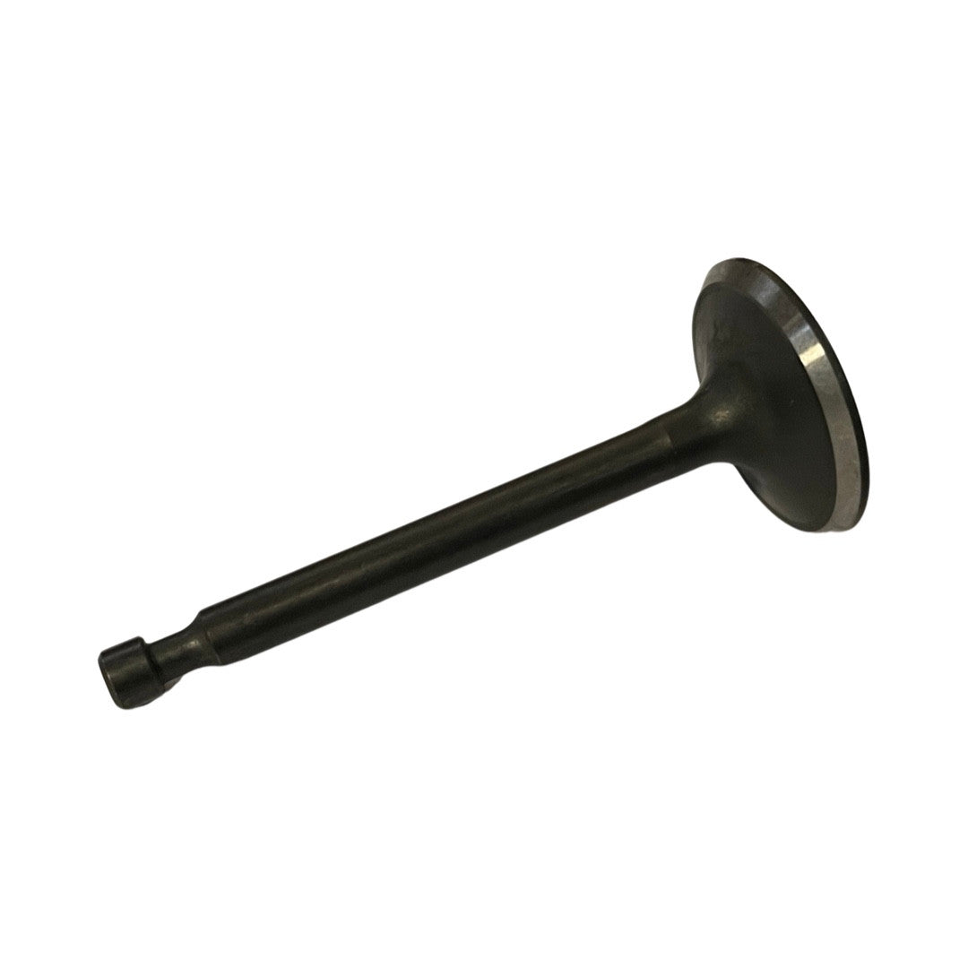 1419022 - Genuine Replacement Intake Valve