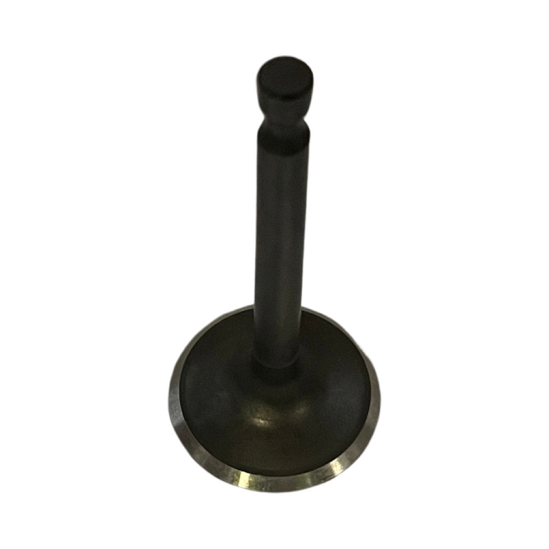 1419022 - Genuine Replacement Intake Valve