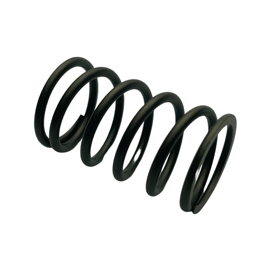 1025056 Valve spring