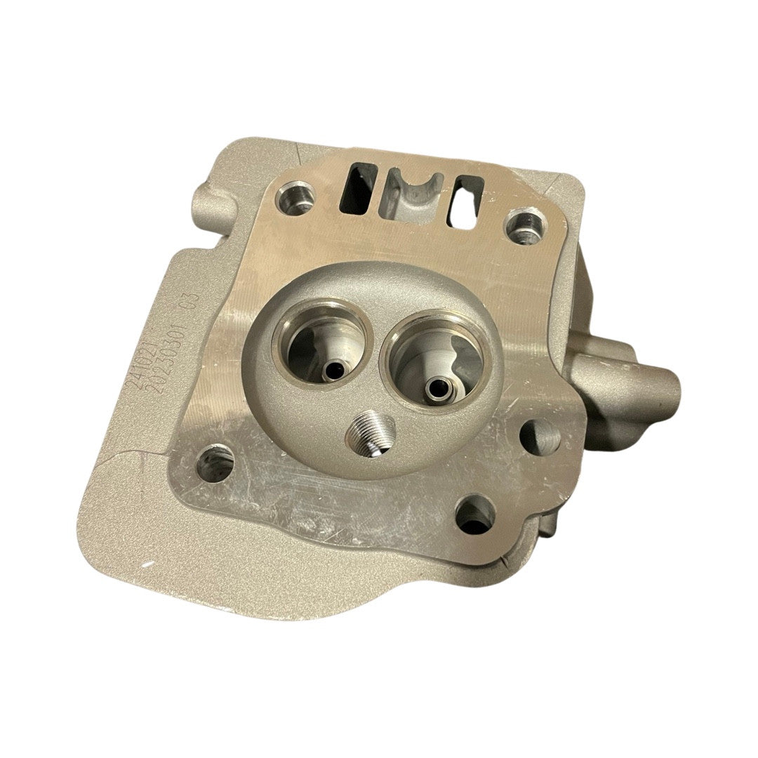1419021 - Genuine Replacement Cylinder Head