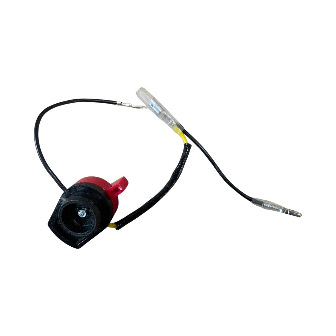 IC210P Switch Assembly