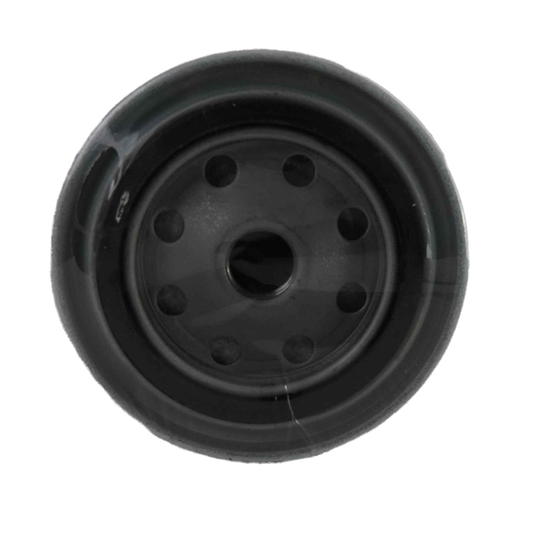 1310022-Genuine Replacement Fuel Filter CX0810