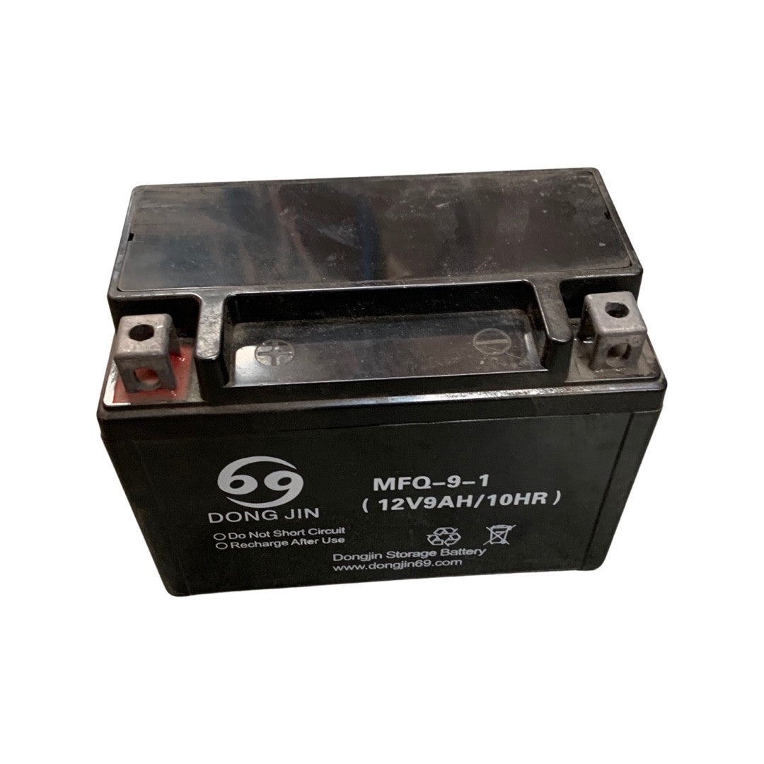 1310021 - Replacement Battery