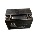 1310021 - Replacement Battery