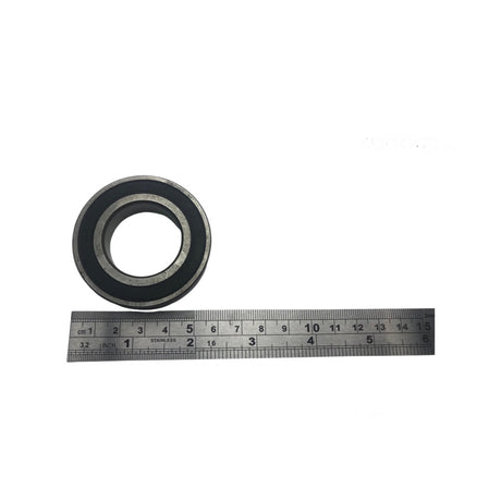 1107029-Bearing6006-29-Size