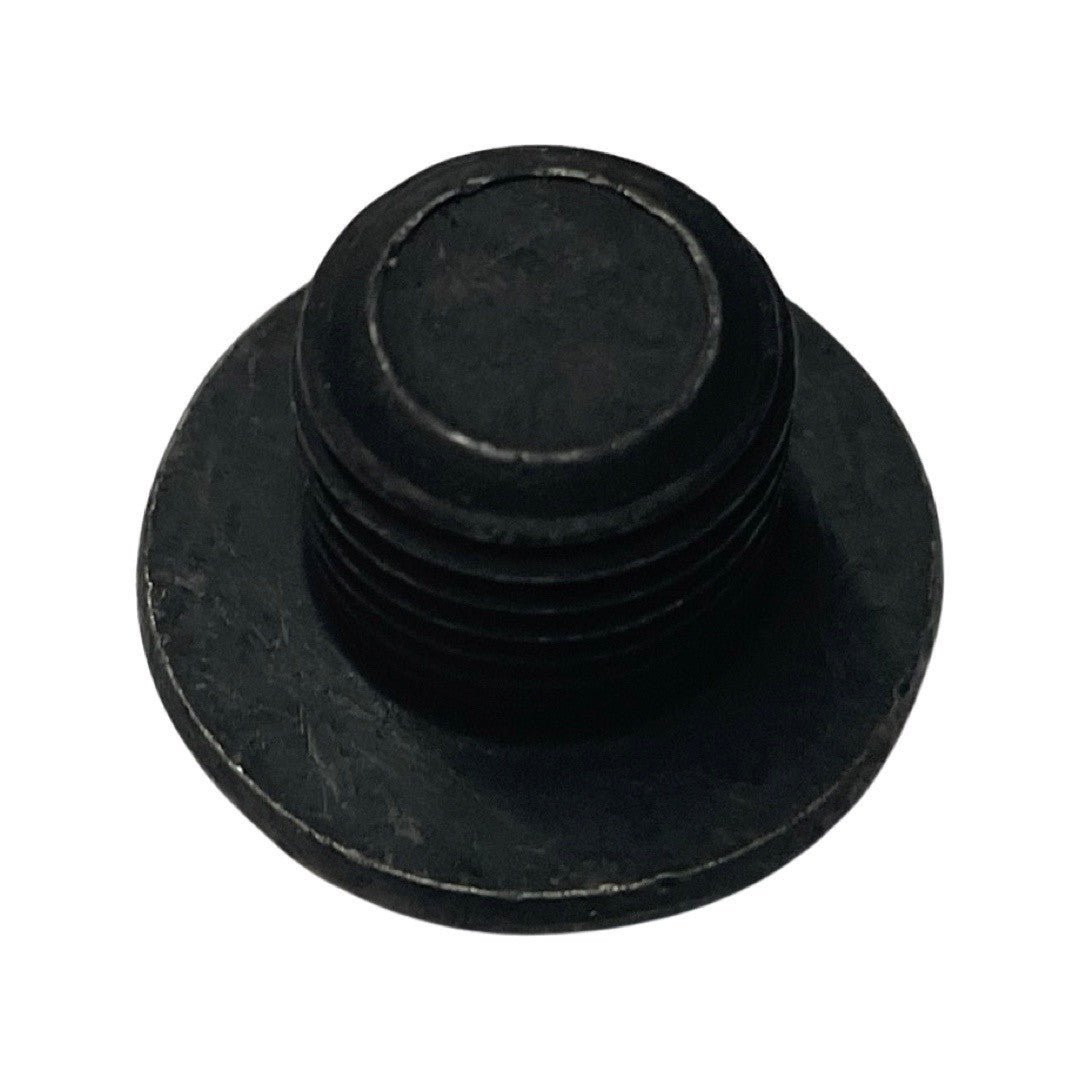 1106165 - Genuine Replacement Plug