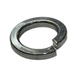 Genuine Replacement Spring Washer 8