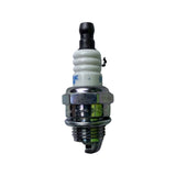 1338064-Genuine Replacement Spark Plug Rear
