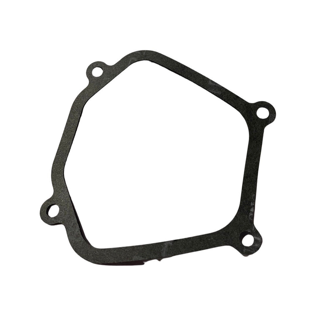 1019091-Genuine Replacement Gasket Head Cover