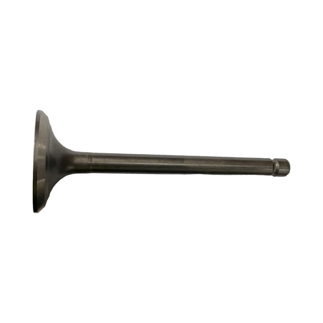 1019124-Genuine Replacement Valve,Exhaust