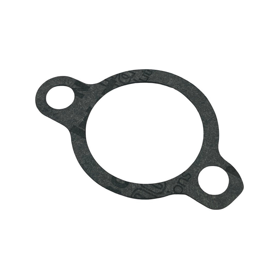 1019135-Genuine Replacement Intake Gasket