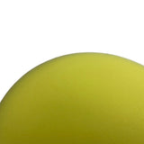 1353001-Genuine Replacement Polisher Sponge