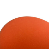 1353001-Genuine Replacement Polisher Sponge
