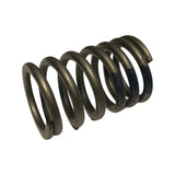 Valve Spring