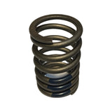 Valve Spring