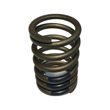 Valve Spring