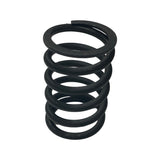 1027198-Genuine Replacement Valve Outer Spring Rear
