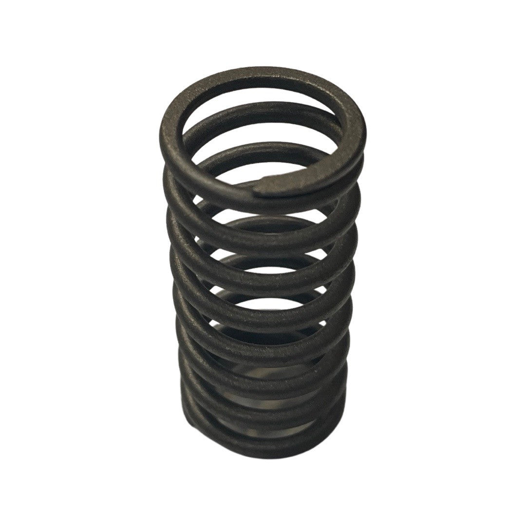 1027199-Genuine Replacement Valve Inner Spring Rear