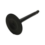 VALVE EXHAUST for P3500PWA-E21
