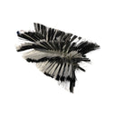 1102233 - replacement Brush for the Hyundai HYSW1000 Petrol Yard Sweeper OEM spare part bristles