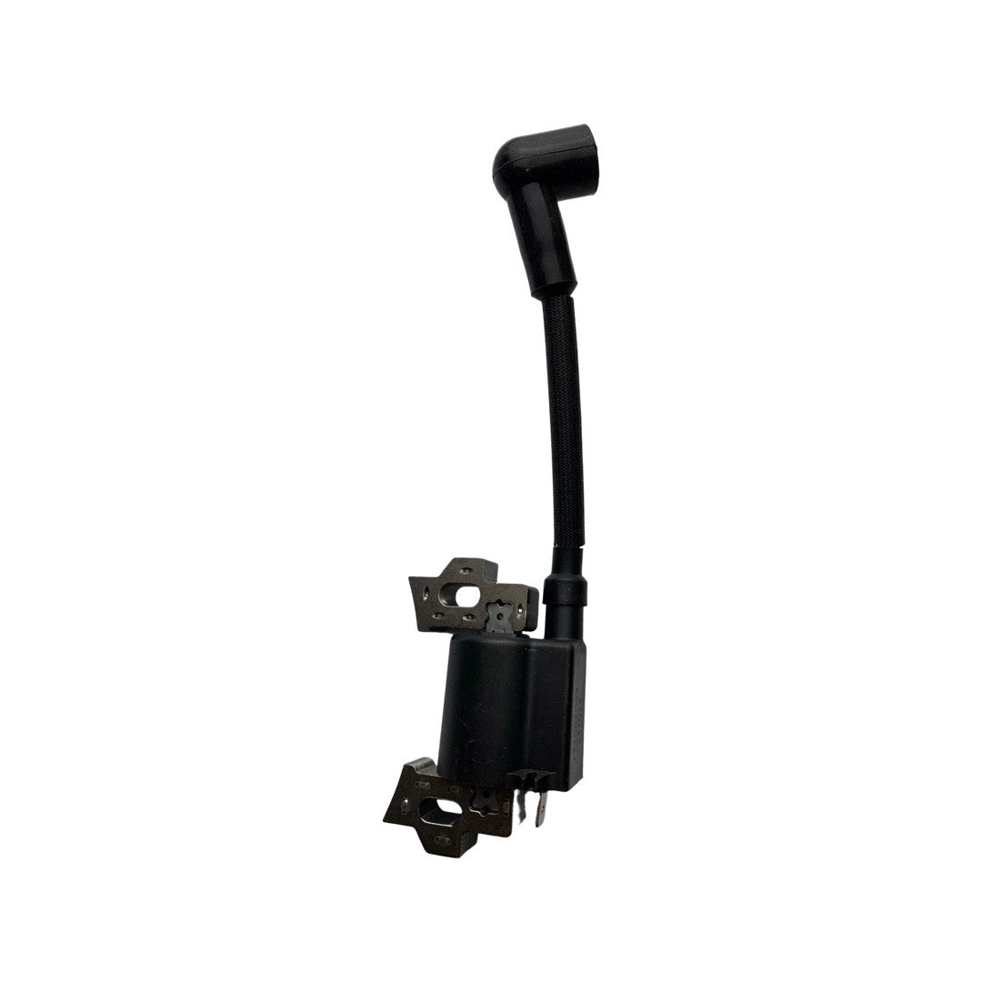 Ignition System Assembly for HYFT56-ESLA09