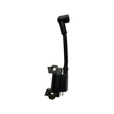 Ignition System Assembly for HYFT56-ESLA09