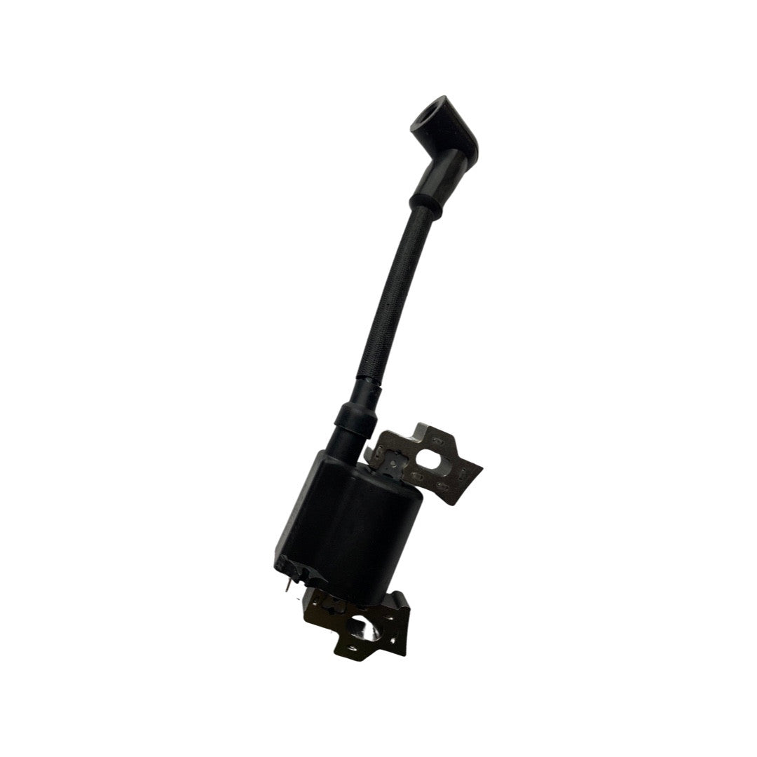 Ignition System Assembly for HYFT56-ESLA09