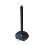 1418023 - Genuine Replacement Intake Valve