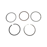 1090055-Genuine Replacement Piston Ring Set for Selected Hyundai Machines Full Set