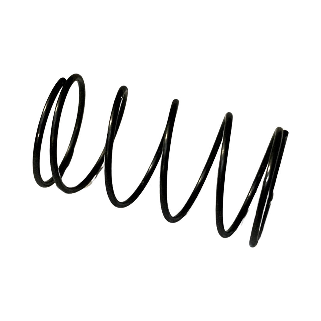 1396035-Genuine Replacement Lock Spring