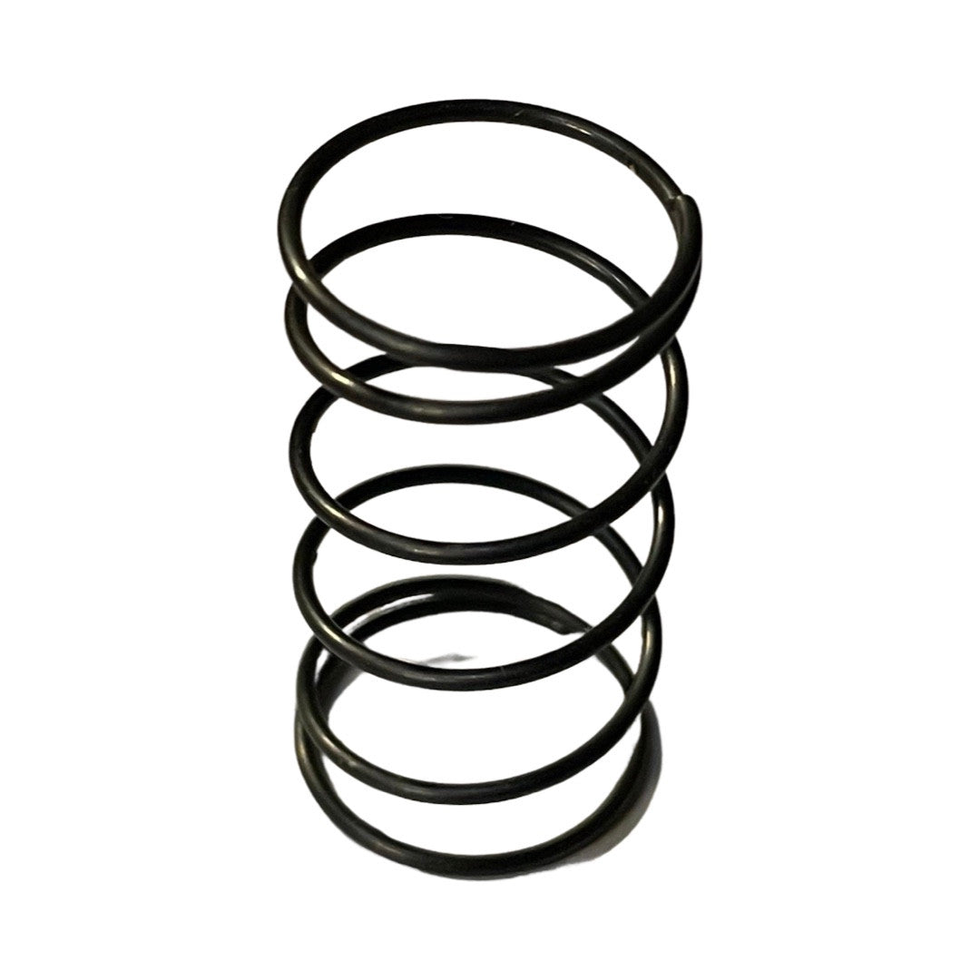 1396035-Genuine Replacement Lock Spring