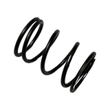 1065054 - Genuine Replacement Valve Spring