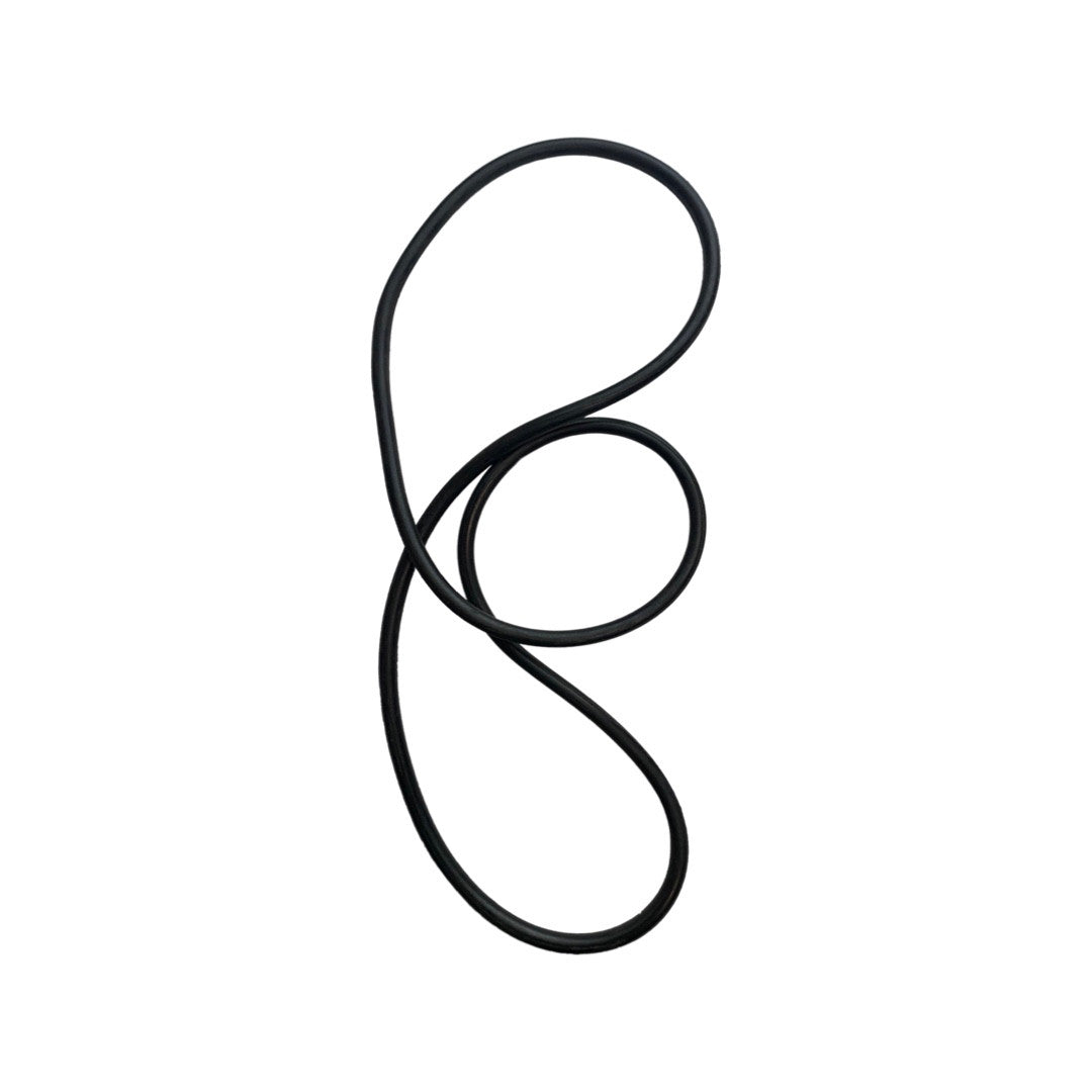 PAB005972 - Genuine Replacement Pump Body Seal