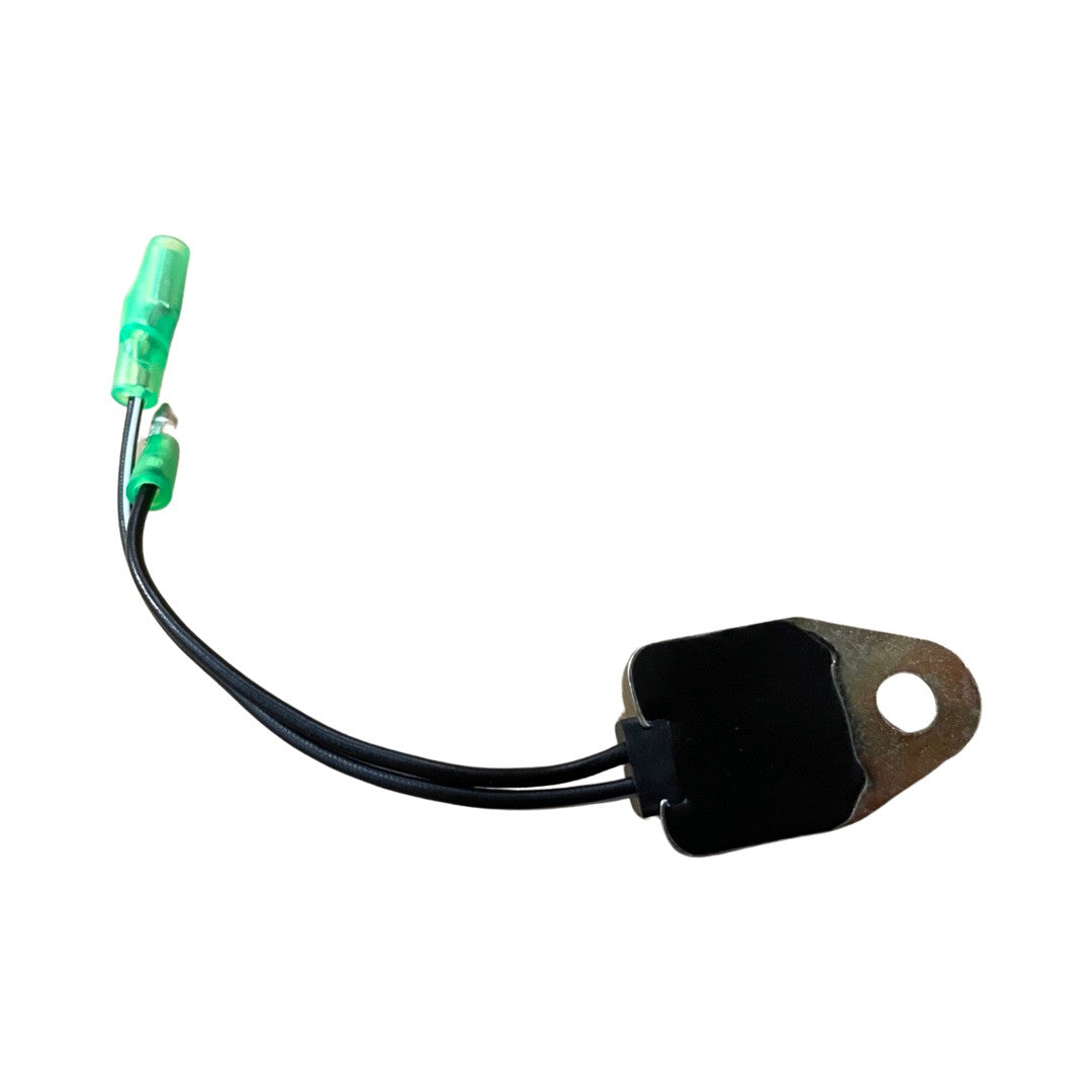 1419072 - Genuine Replacement Amplifier
