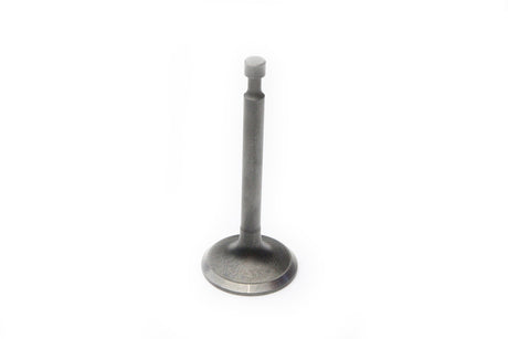 Inlet valve
