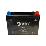 1093067-Genuine Replacement Battery