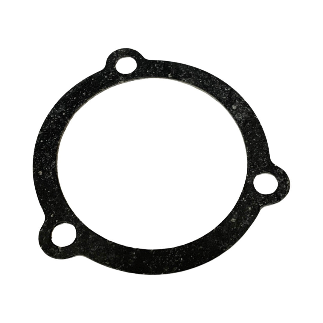 1119043-Genuine Replacement Crank Case Cover Gasket