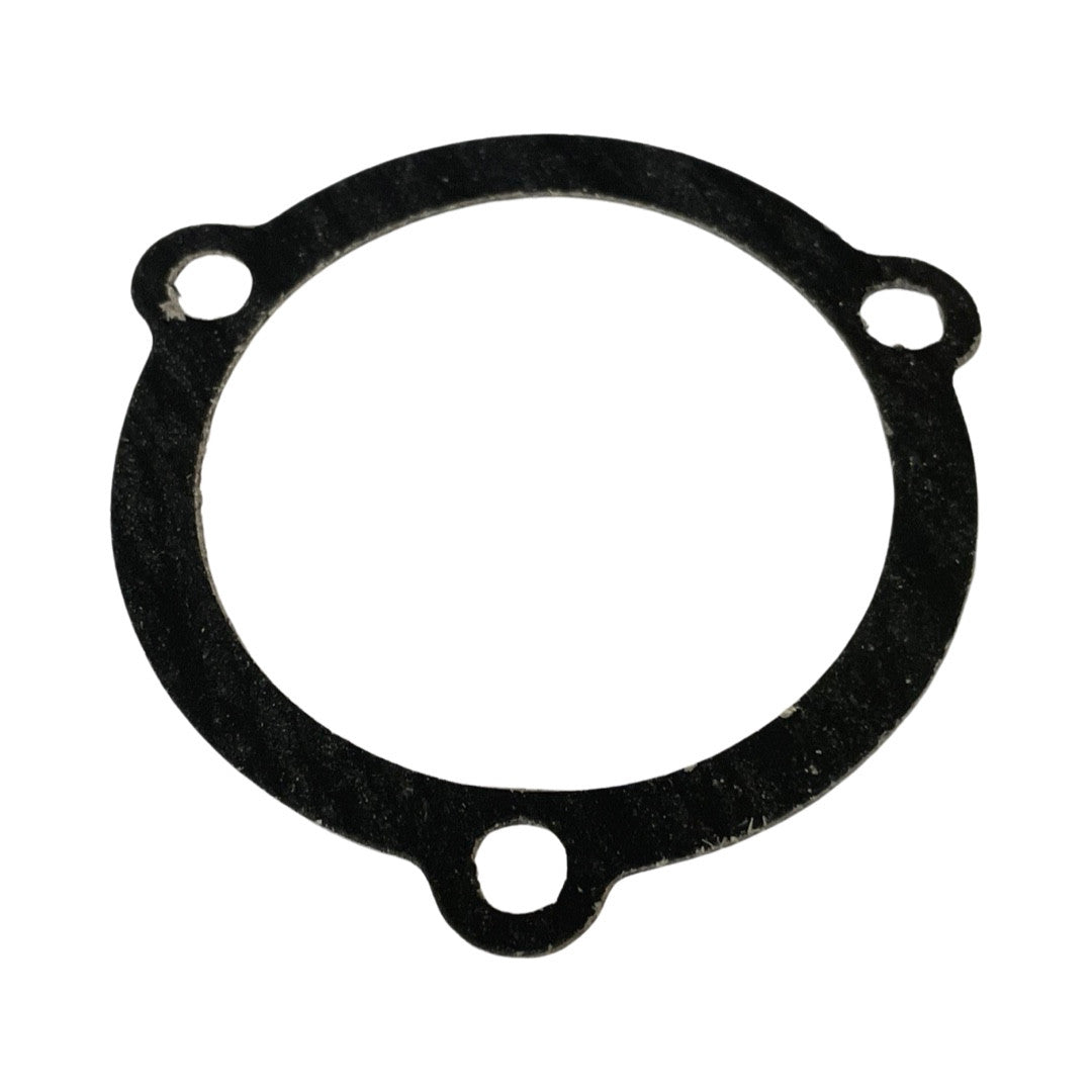 1119043-Genuine Replacement Crank Case Cover Gasket