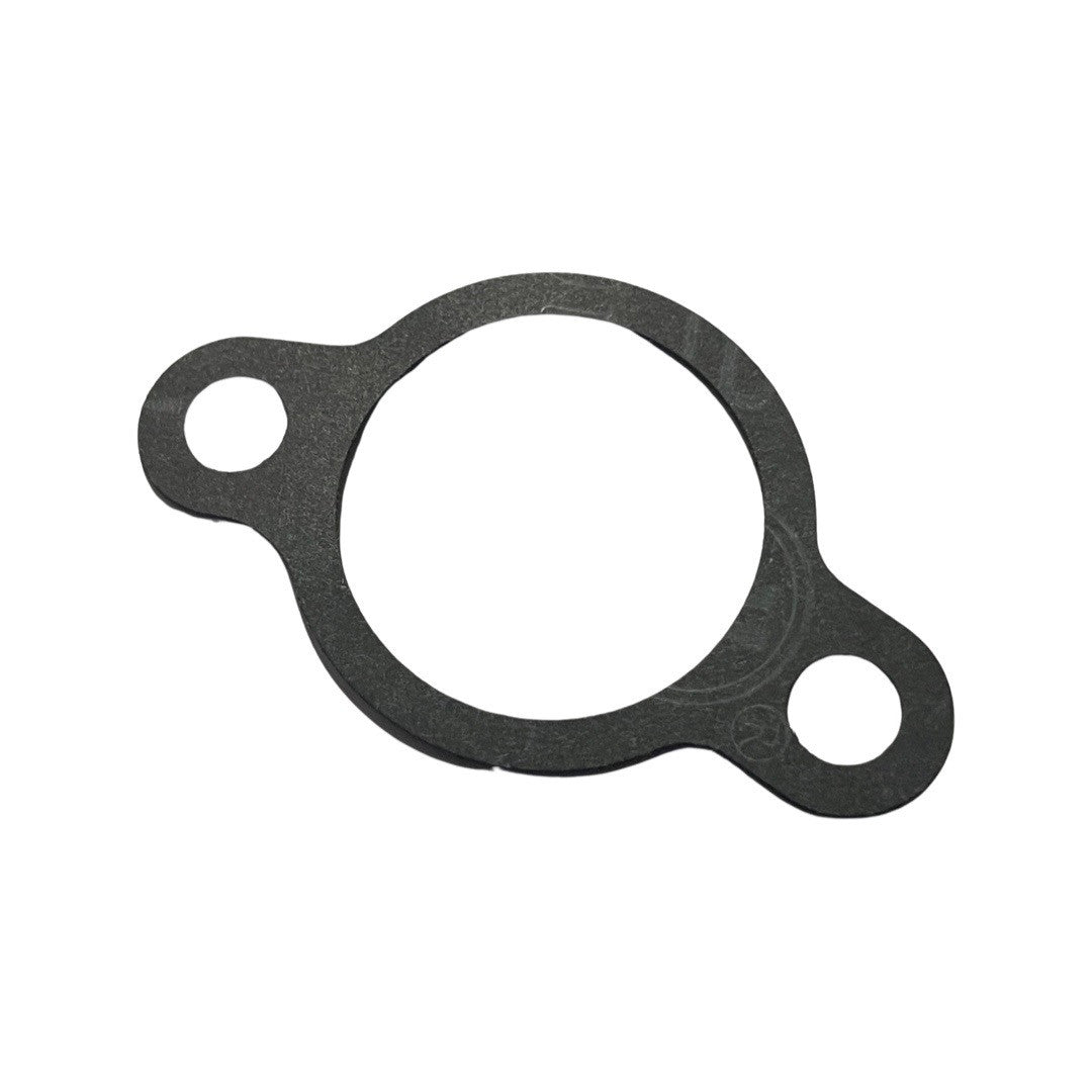 1237132-Genuine Replacement P10000LE Packing,Intake