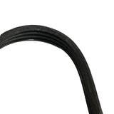 1443093 - Genuine Replacement Ribbed Belt