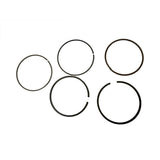 PAE000704 - Genuine Replacement Piston Ring Set