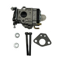 1162048 - Genuine Replacement Carburettor & Fitting Kit