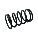 1025056 Valve spring