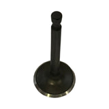 1419023 - Genuine Replacement Exhaust Valve